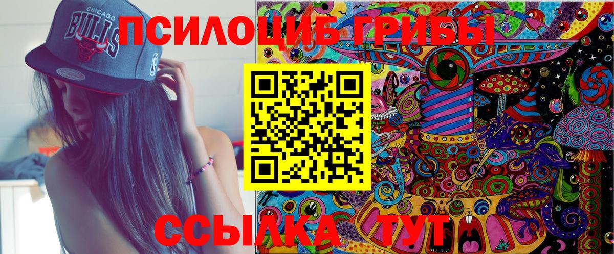 Нижний Новгород  Псилоцибиновые грибы Magic Shrooms  Псилоцибиновые грибы MAGIC MUSHROOMS  наркота  Вход с VPN 