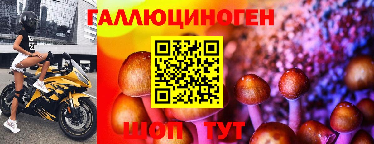Галлюциногенные грибы MAGIC MUSHROOMS Нижний Новгород