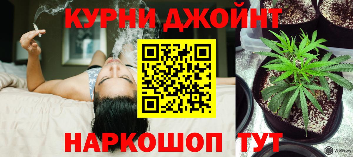 Каннабис планчик  Марихуана THC 21%  Вход с VPN  Нижний Новгород  МАРИХУАНА White Widow 